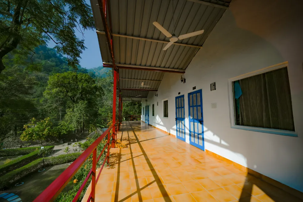 Clean student accommodation at the Adhiroha yoga ashram — photo 94
