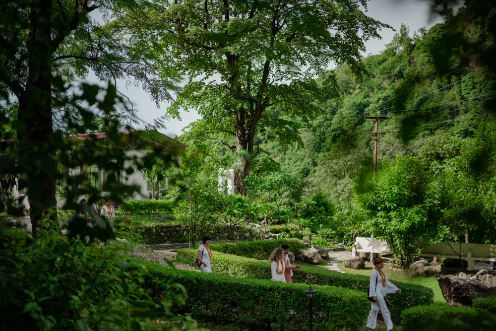 The green Adhiroha ashram campus in Upper Tapovan, Rishikesh — photo 2