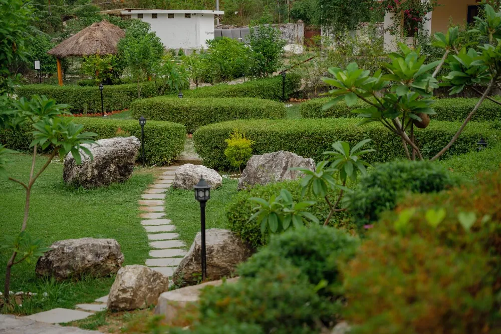 The green Adhiroha ashram campus in Upper Tapovan, Rishikesh — photo 20