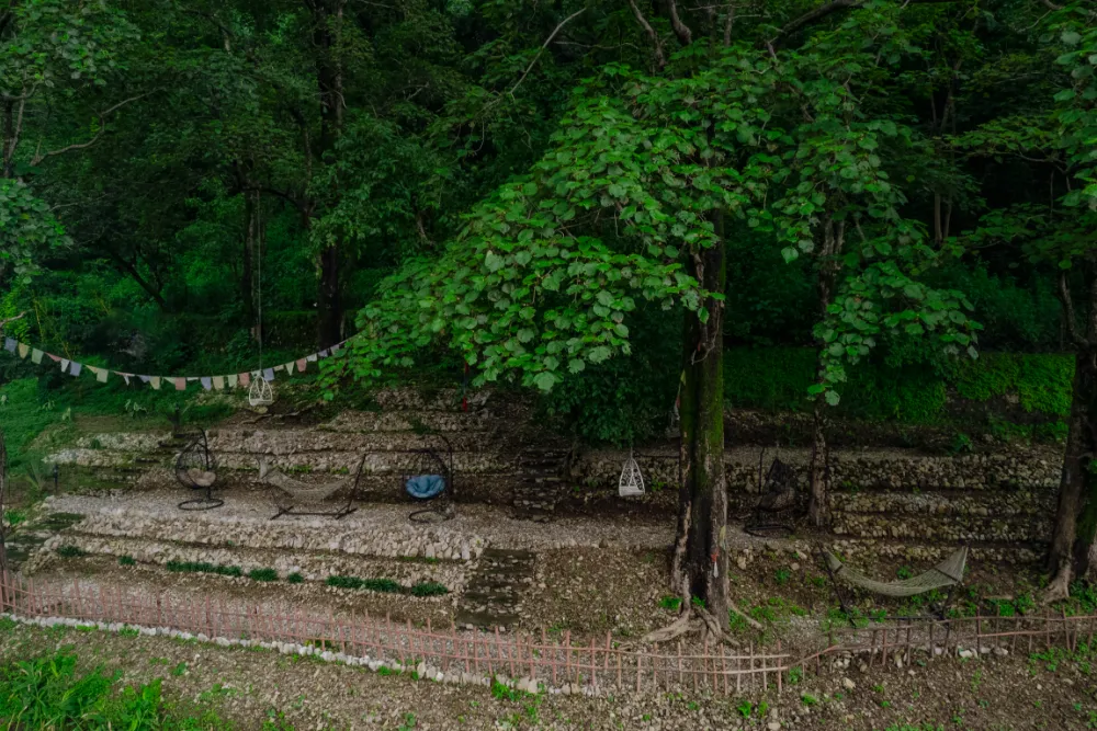 The green Adhiroha ashram campus in Upper Tapovan, Rishikesh — photo 56
