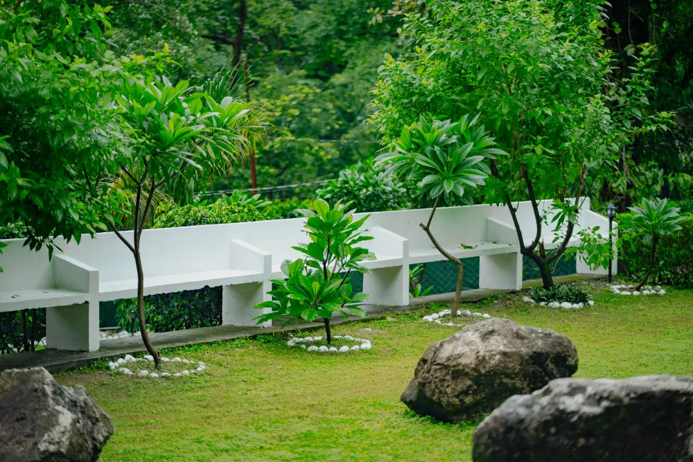 The green Adhiroha ashram campus in Upper Tapovan, Rishikesh — photo 92