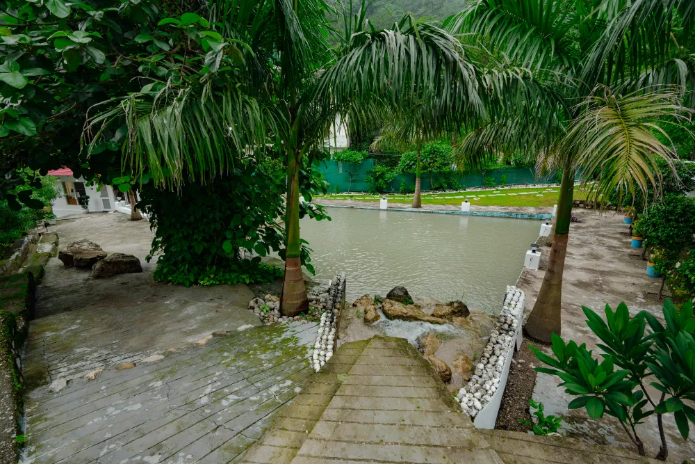 Student with arms raised in the monsoon garden during the Ayurveda retreat