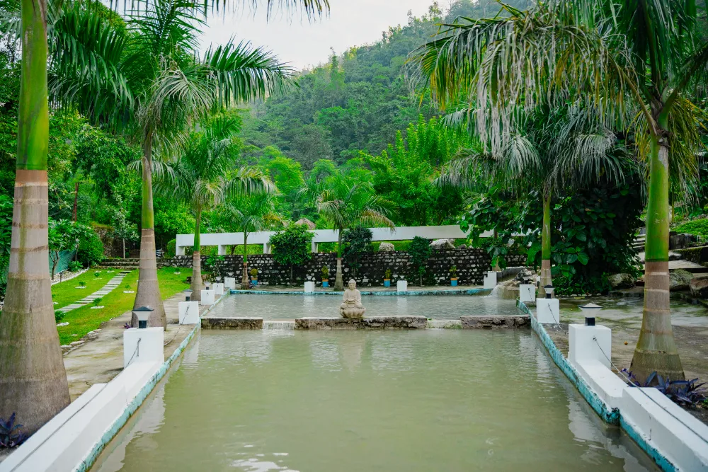 The gentle brook running through the Adhiroha ashram grounds behind the shala in Upper Tapovan, Rishikesh