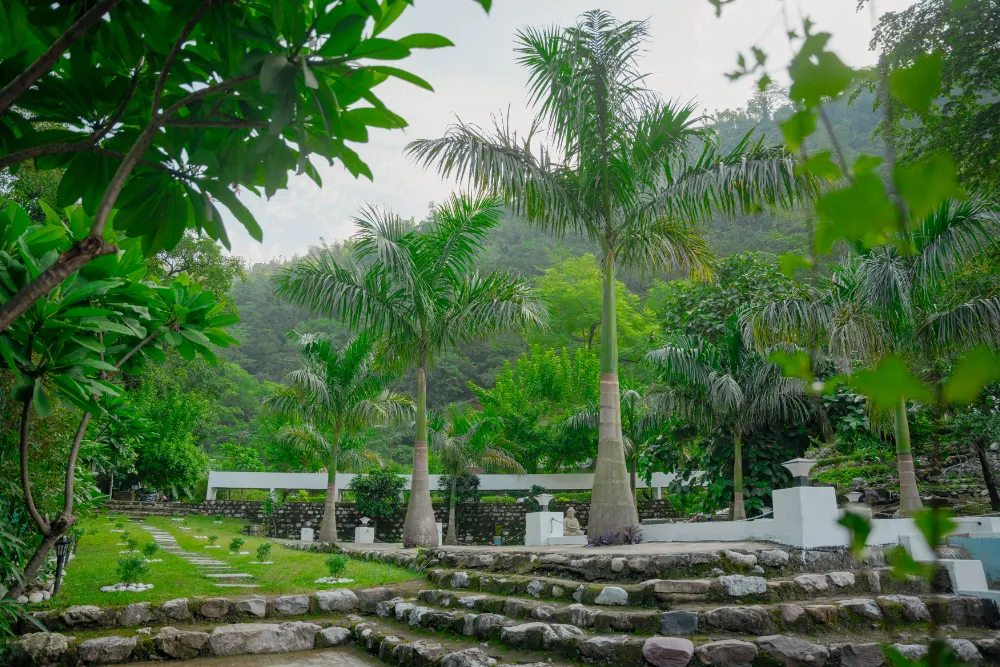 The green Adhiroha ashram campus in Upper Tapovan, Rishikesh — photo 131
