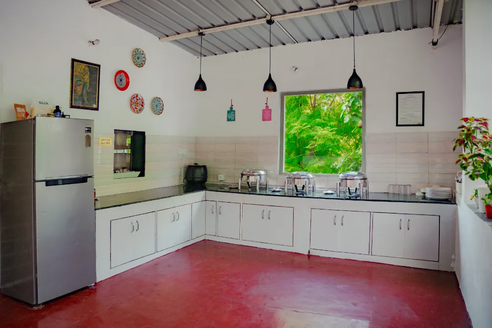 Sattvic vegetarian food and dining at Adhiroha, Rishikesh — photo 77