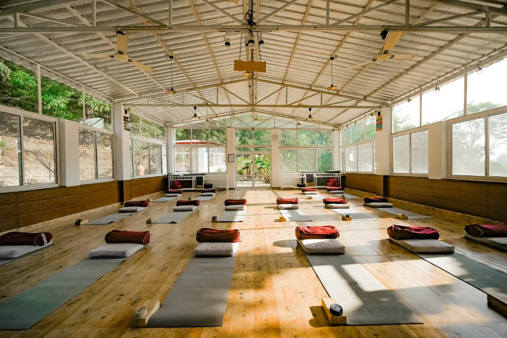 Inside the forest-view yoga shala at Adhiroha, Rishikesh — photo 30