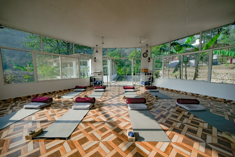 Inside the forest-view yoga shala at Adhiroha, Rishikesh — photo 48