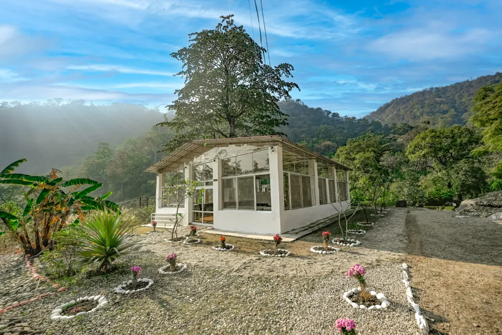 Inside the forest-view yoga shala at Adhiroha, Rishikesh — photo 57