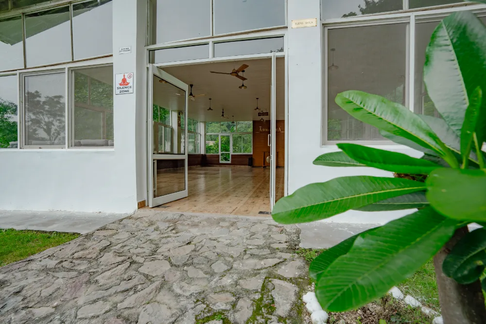 Inside the forest-view yoga shala at Adhiroha, Rishikesh — photo 114