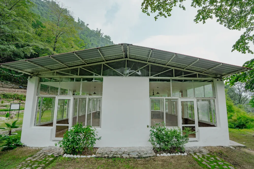 Inside the forest-view yoga shala at Adhiroha, Rishikesh — photo 120
