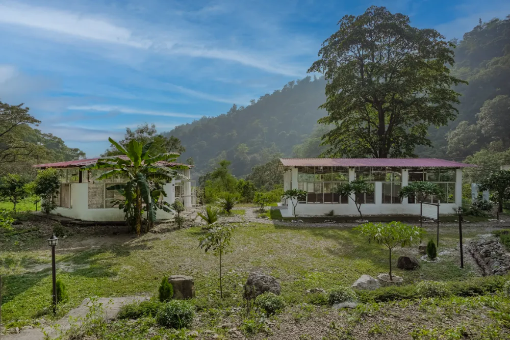 Inside the forest-view yoga shala at Adhiroha, Rishikesh — photo 126