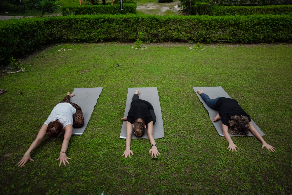 Yoga asana practice during teacher training at Adhiroha, Rishikesh — photo 28