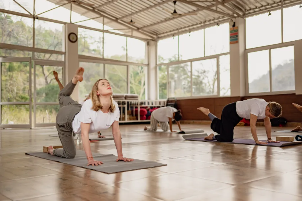 Yoga asana practice during teacher training at Adhiroha, Rishikesh — photo 91