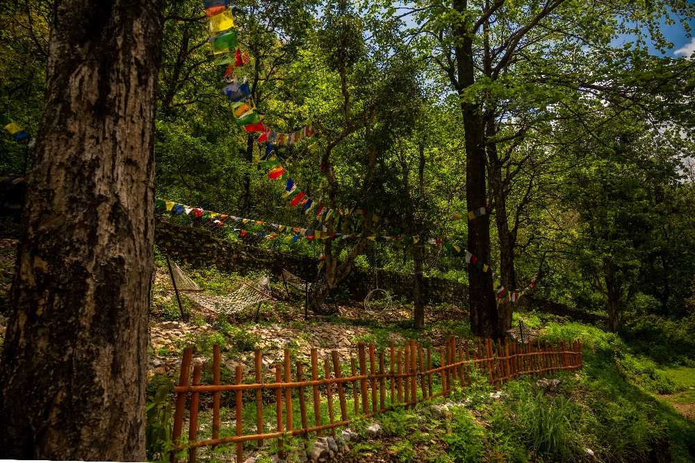 Prayer flags and quiet sitting corners on the forested hillside