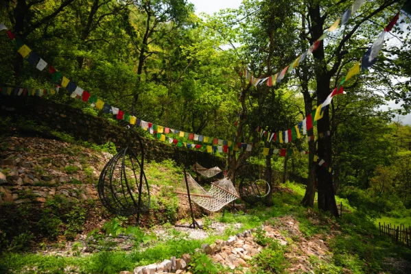 The forested hillside paths around the Adhiroha ashram in Rishikesh