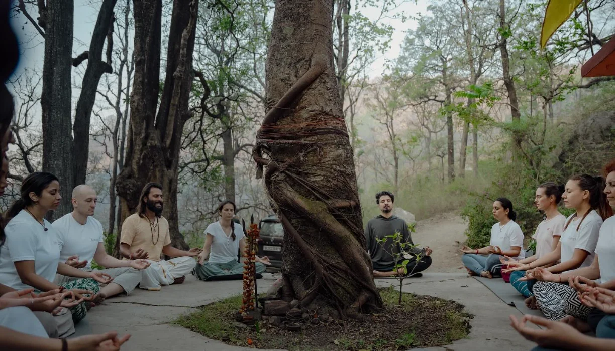 Students meditating in a circle beneath the old forest trees