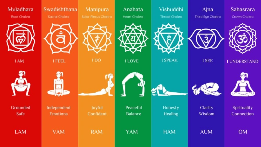 pranic healing working with life force energy