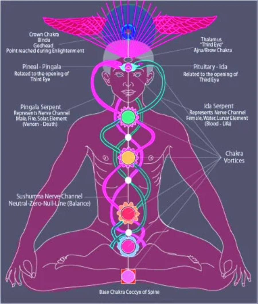 the progressive stages of kundalini awakening