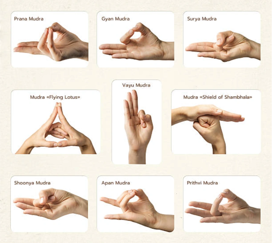 Hatha yoga four limbs practice at Adhiroha