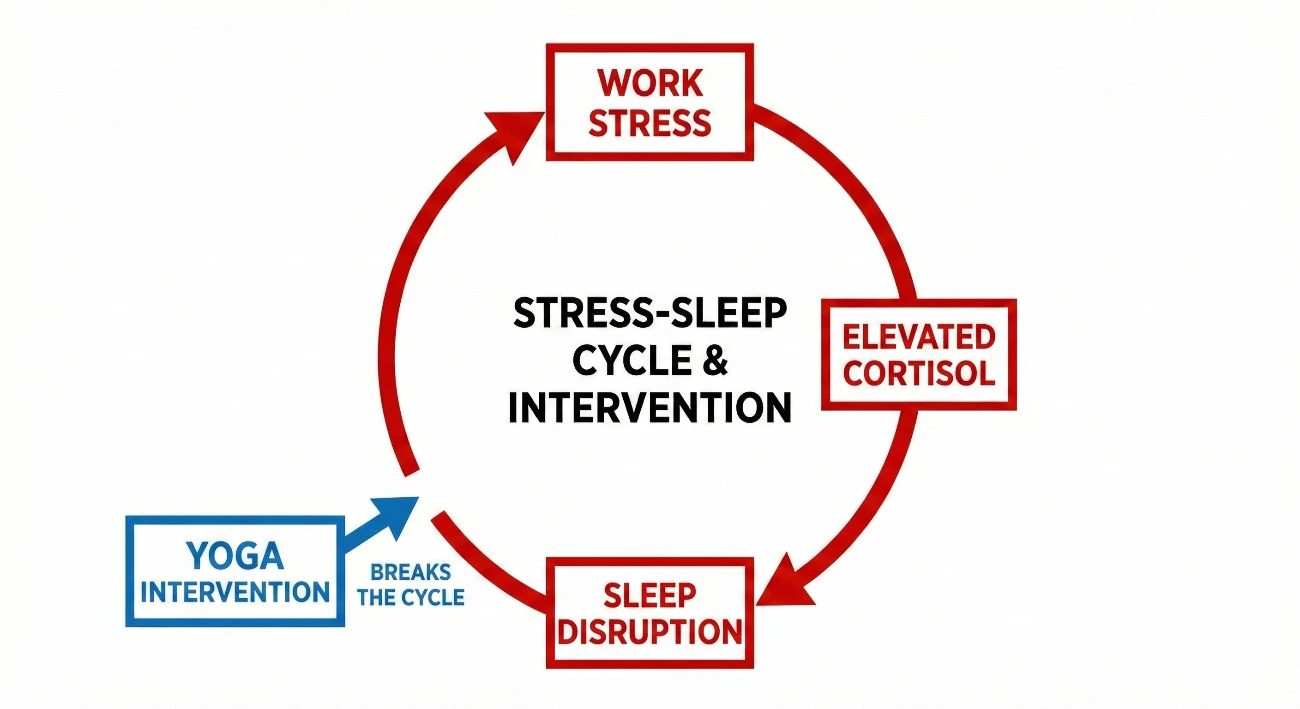 stress cycle diagram cortisol and sleep disruption